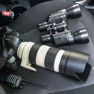 Infidelity/Domestic Surveillance Investigation